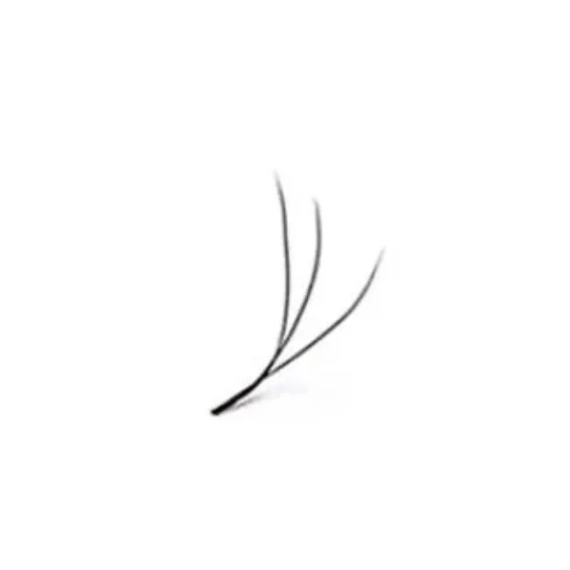 W lash extensions — Close-up of an eye with defined lash extension curl